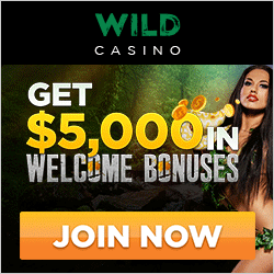 Wild Casino Cashable Bonus Codes
